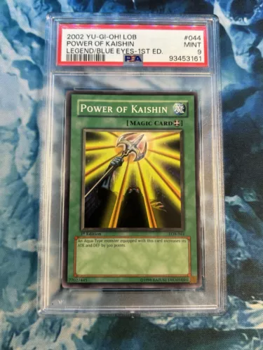 Power of Kaishin
