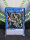 Predaplant Verte Anaconda
