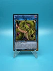 Predaplant Verte Anaconda