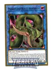 Predaplant Verte Anaconda