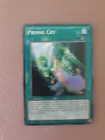 Primal Cry