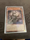 Primite Imperial Dragon
