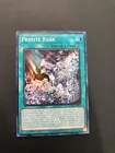 Performapal Card Gardna