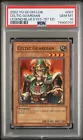 Celtic Guardian