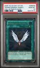 Transcendent Wings
