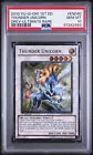 Thunder Unicorn