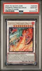 Sangenpai Transcendent Dragion