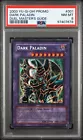 Dark Paladin