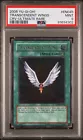 Transcendent Wings