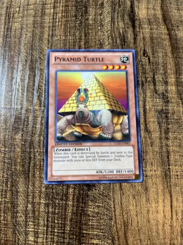 Catapult Turtle