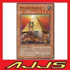 Pyramid Turtle