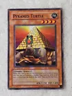 Pyramid Turtle