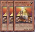 Pyramid Turtle