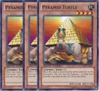 Pyramid Turtle
