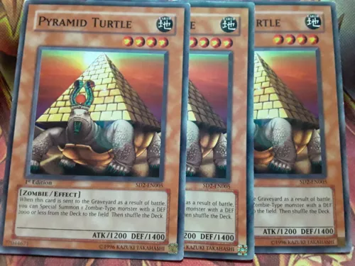 Pyramid Turtle