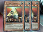 Pyramid Turtle