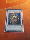 Queen of Thorns