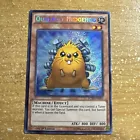 Quillbolt Hedgehog