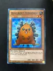 Quillbolt Hedgehog