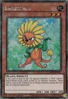 Dandylion