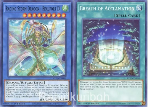 Raging Storm Dragon - Beaufort IX