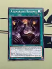 Ragnaraika Bloom