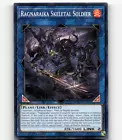 Ragnaraika Skeletal Soldier