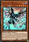 Raider's Wing