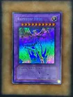 Rainbow Neos