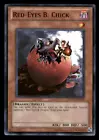 Black Dragon's Chick