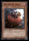 Black Dragon's Chick