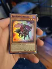 Red Rose Dragon