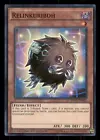 Relinkuriboh