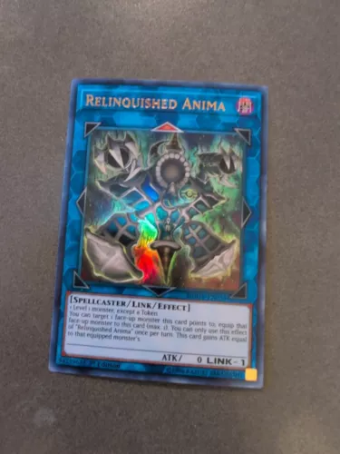 Relinquished Anima