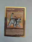 Rescue Cat