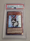 Rescue Rabbit