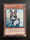 Rescue Rabbit
