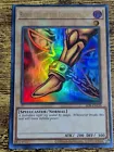 Right Leg of the Forbidden One