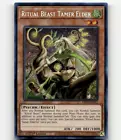 Ritual Beast Tamer Elder