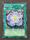 Rose Bud