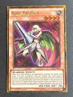 Rose Paladin