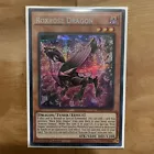 Roxrose Dragon
