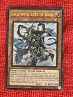 Sage with Eyes of Blue