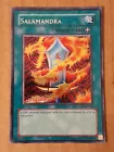 Salamandra