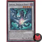 Samsara, Dragon of Rebirth