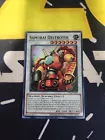 Destiny HERO - Destroyer Phoenix Enforcer
