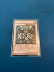 Secret Sect Druid Wid