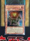 Seed of Flame