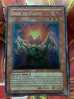 Seed of Flame