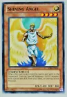 Angel Trumpeter